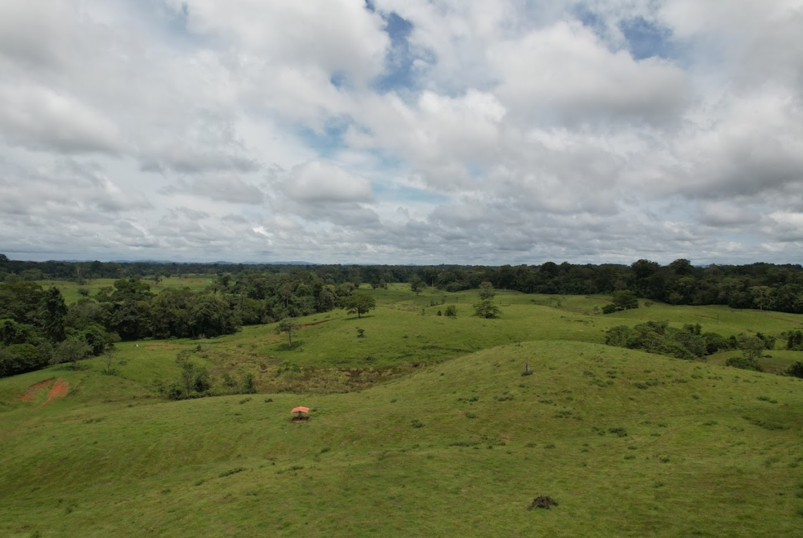 Fincas de Costa Rica